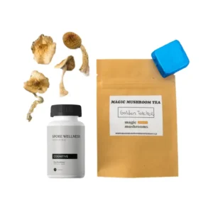 magic mushroom kit psych 101